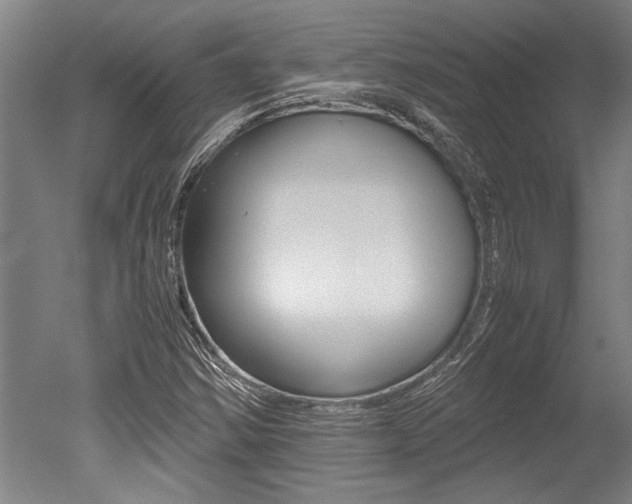 X0000051241354200506170805