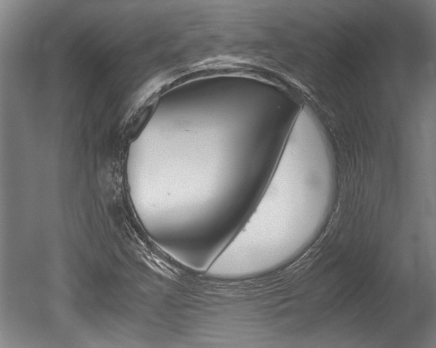 X0000051241355200506170805