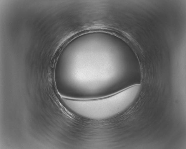 X0000051241356200506170805