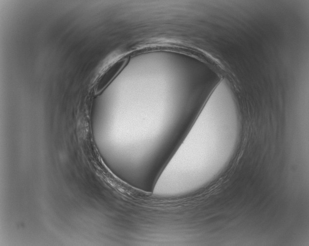 X0000051241363200506170805