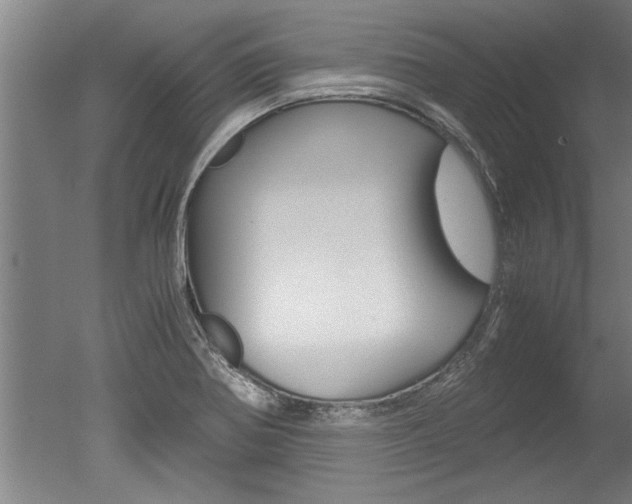 X0000051241370200506170805