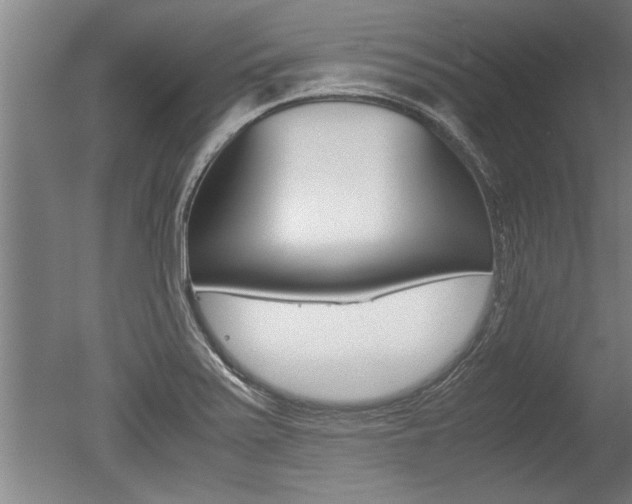X0000051241371200506170805