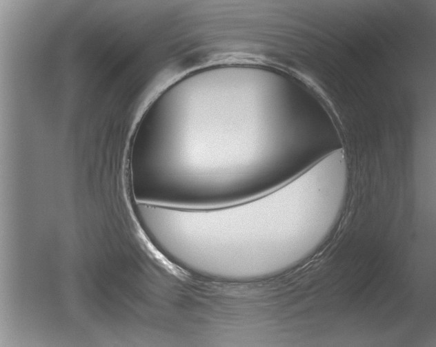 X0000051241379200506170804