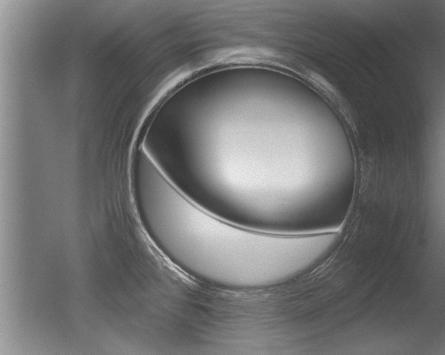 X0000051241384200506170804