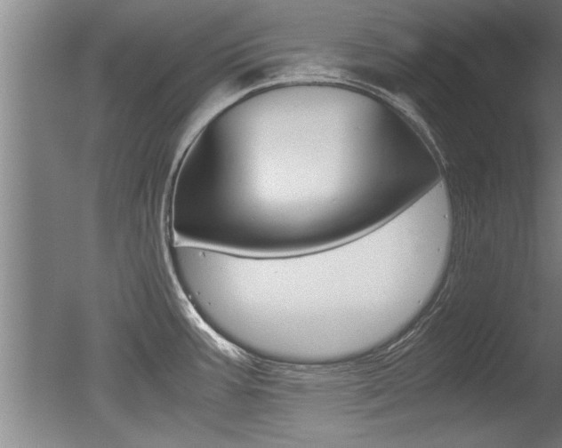 X0000051241387200506170804