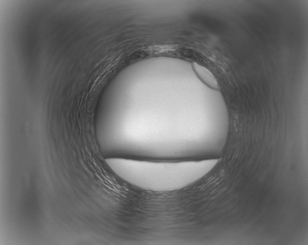 X0000051241393200506170803