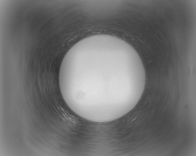 X0000051241394200506170803