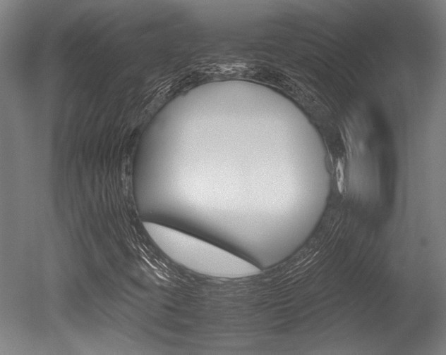 X0000051241395200506170803
