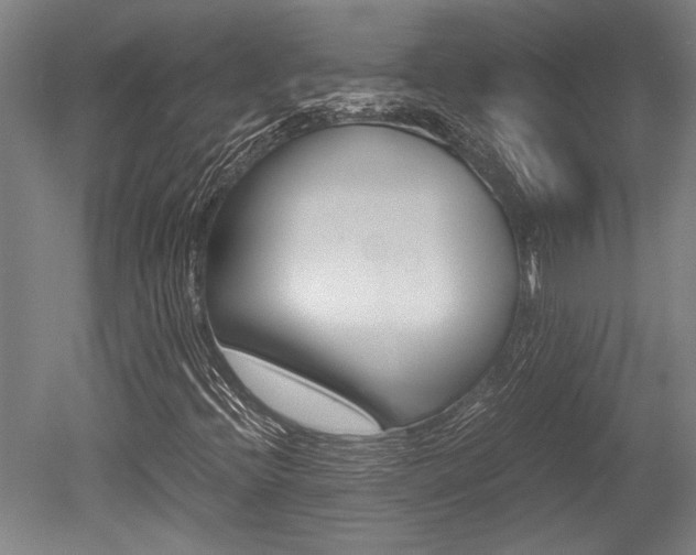 X0000051241396200506170803