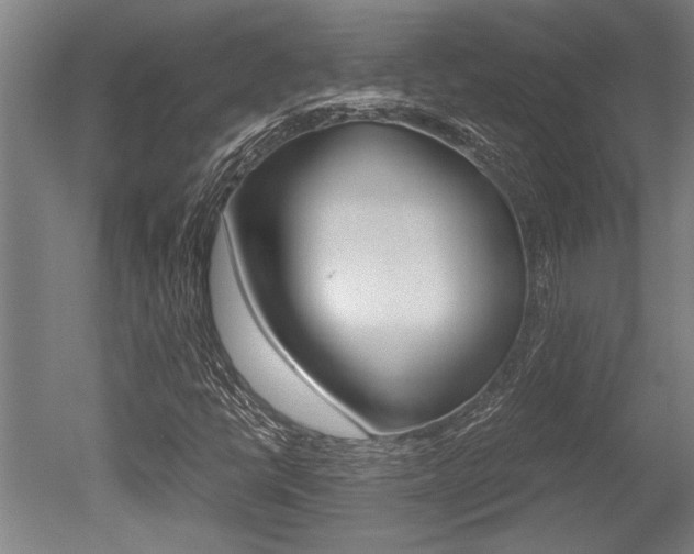 X0000051241398200506170804