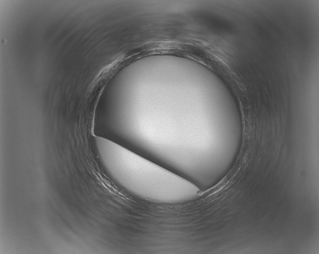 X0000051241403200506170804