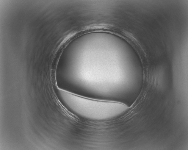 X0000051241404200506170804