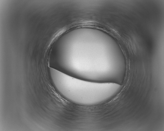 X0000051241405200506170804