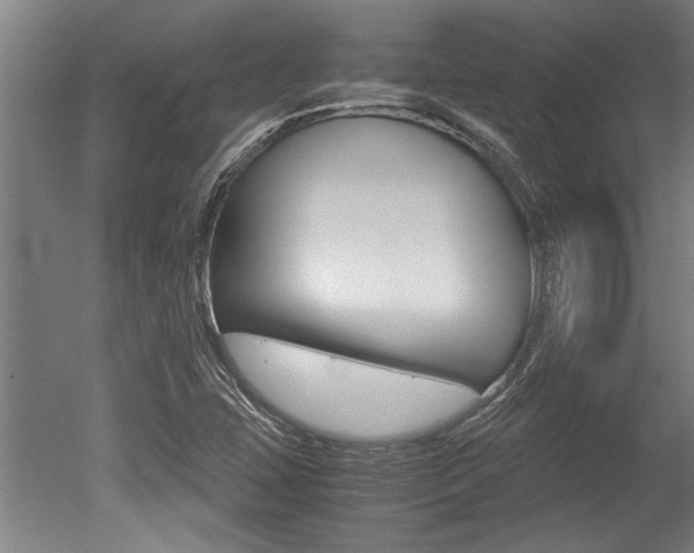 X0000051241407200506170804