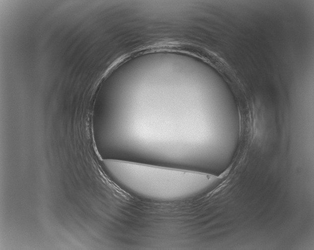X0000051241409200506170804