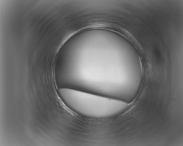 X0000051241417200506170804