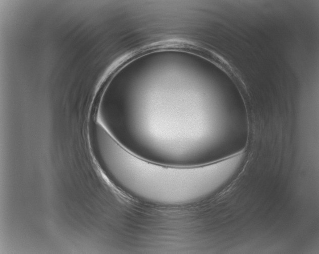 X0000051241418200506170804