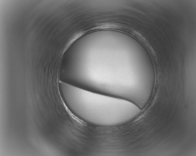 X0000051241425200506170804