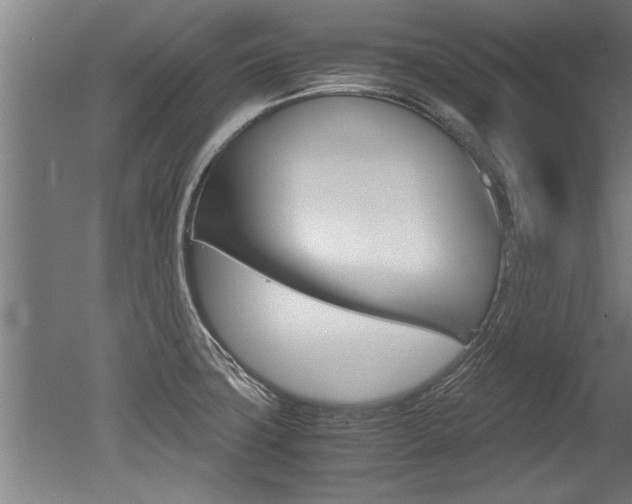 X0000051241427200506170804