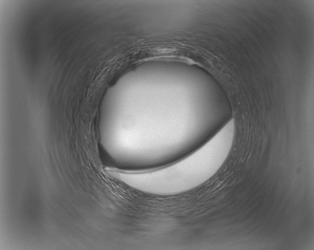 X0000051241441200506170803