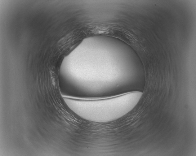 X0000051241442200506170803
