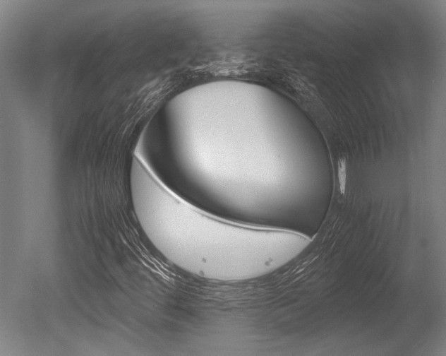 X0000051241444200506170803