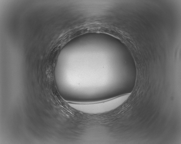 X0000051241445200506170803