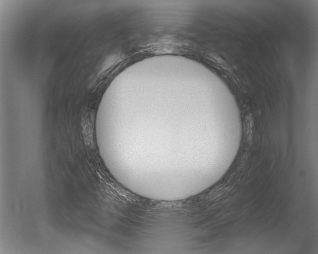 X0000051241446200506170803