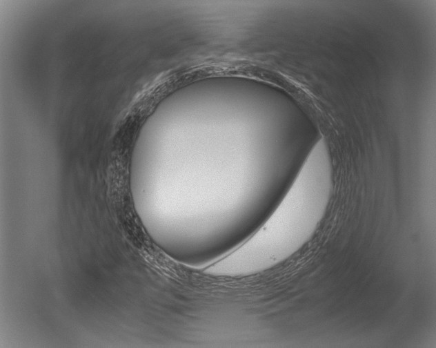 X0000051241447200506170803