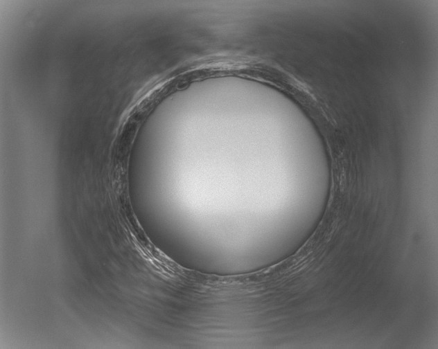 X0000051241448200506170803