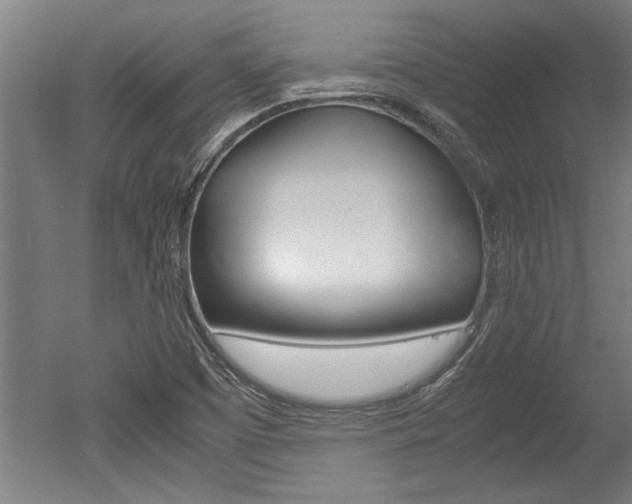 X0000051241457200506170803