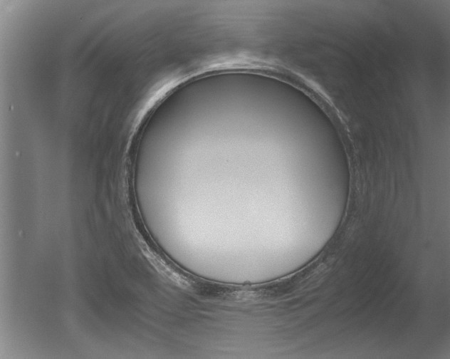 X0000051241463200506170803