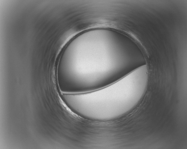X0000051241468200506170803
