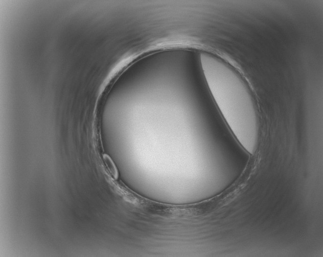 X0000051241469200506170803