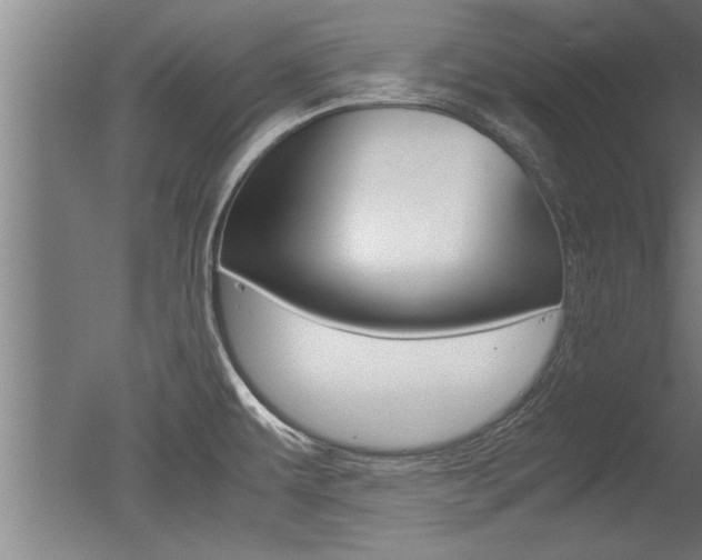 X0000051241479200506170803