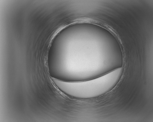 X0000051241481200506170803