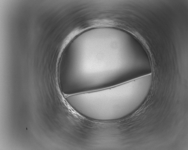 X0000051241488200506170803