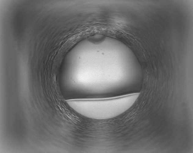 X0000051241489200506170802