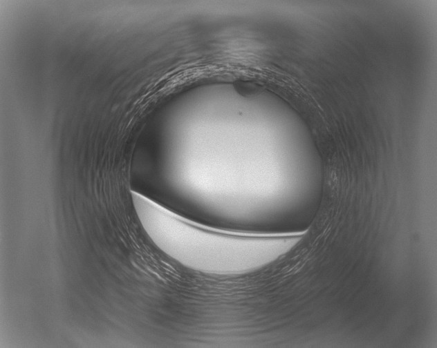 X0000051241490200506170802