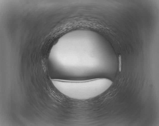 X0000051241491200506170802