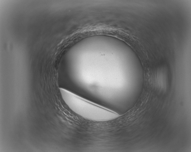 X0000051241493200506170802