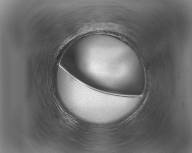 X0000051241497200506170802