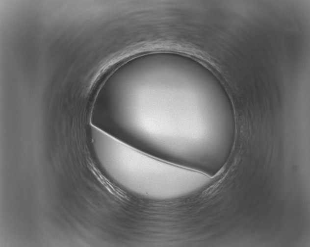 X0000051241499200506170802
