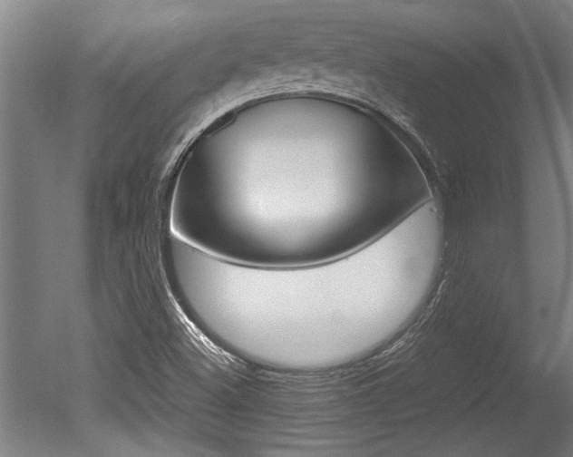 X0000051241500200506170802