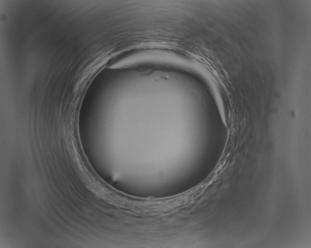 X0000051240001200506171122