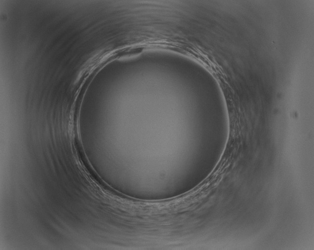 X0000051240002200506171122