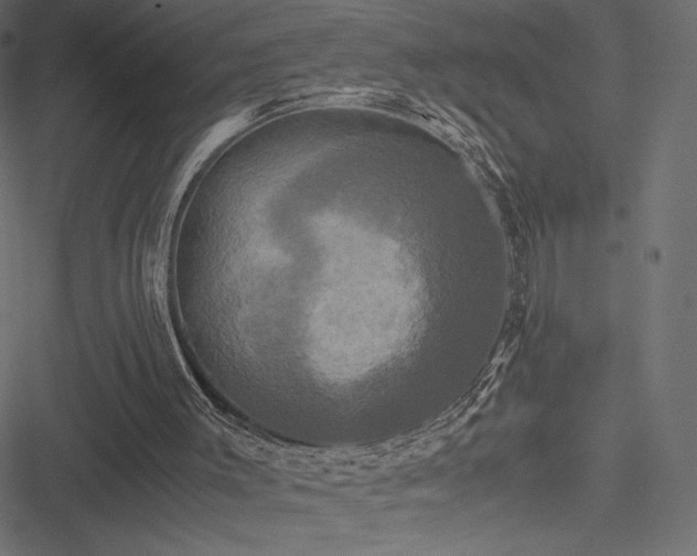 X0000051240003200506171122