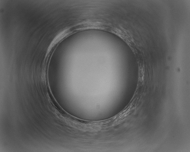 X0000051240004200506171122