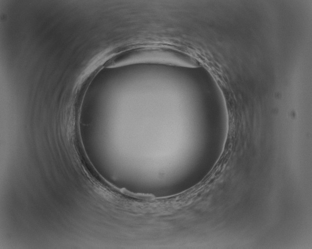 X0000051240005200506171122