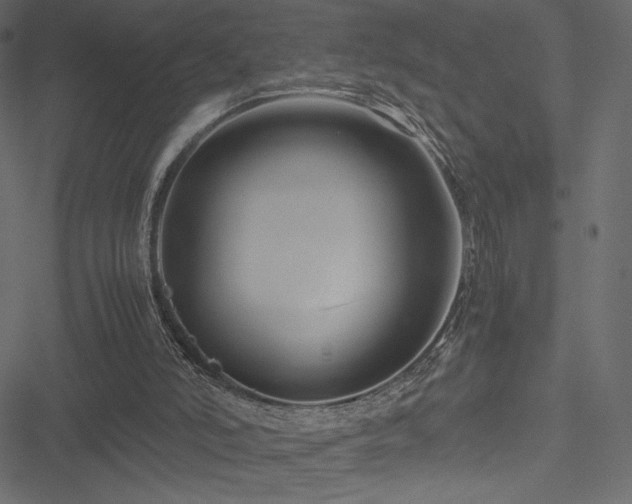 X0000051240006200506171122